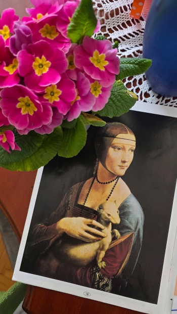 FB_IMG_1773118670908