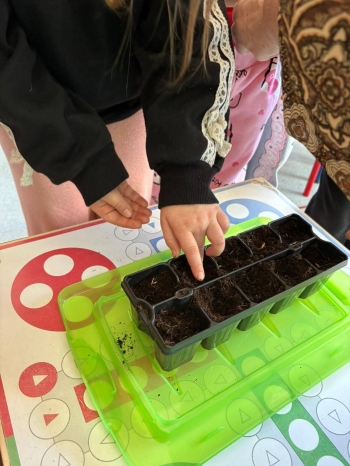 FB_IMG_1773684376793