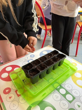 FB_IMG_1773684379745