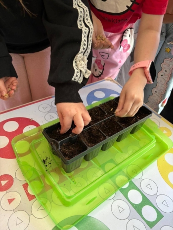 FB_IMG_1773684384226