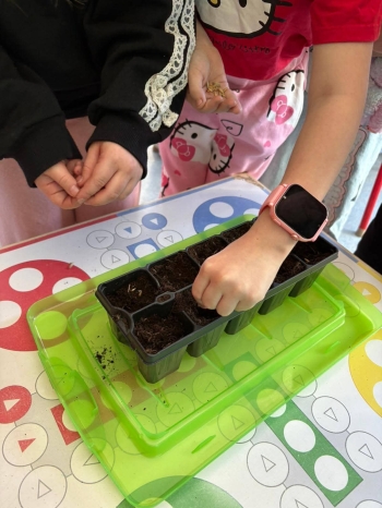 FB_IMG_1773684387650