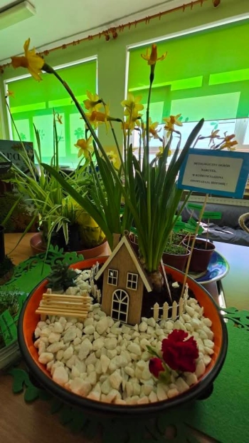 FB_IMG_1776955896335