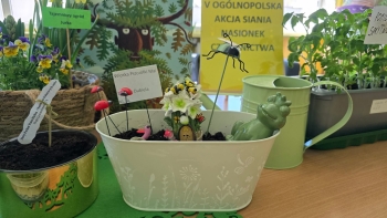 FB_IMG_1776955906846