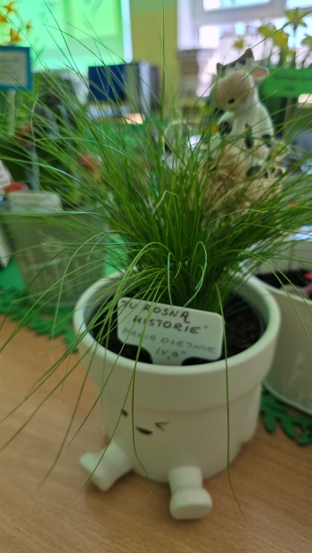 FB_IMG_1776955912589