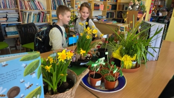 FB_IMG_1776955942420