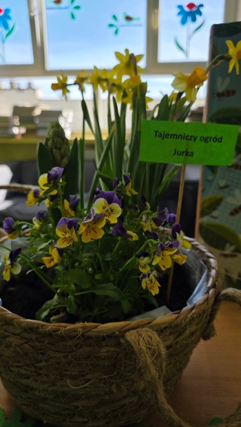 FB_IMG_1776955963622