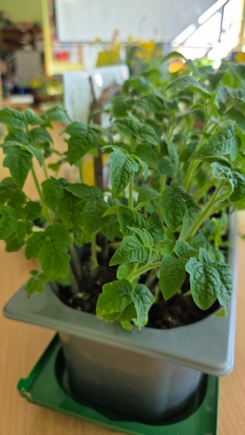 FB_IMG_1776955968292