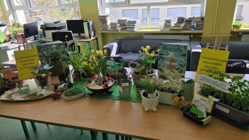 FB_IMG_1776955970916