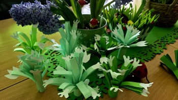 FB_IMG_1777291413141