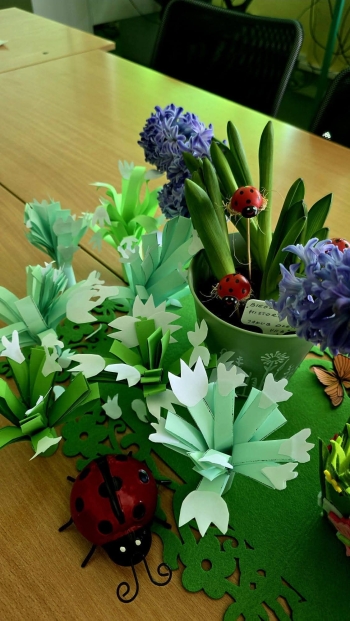 FB_IMG_1777291416547