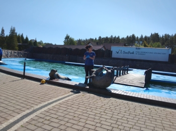 IMG-20260530-WA0006