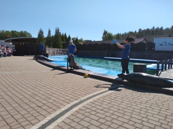 IMG-20260530-WA0008