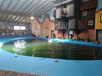 IMG-20260530-WA0036