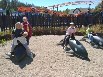 IMG-20260530-WA0045