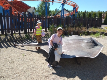 IMG-20260530-WA0047