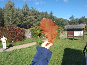 IMG-20260928-WA0039