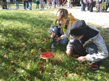 IMG-20260928-WA0043