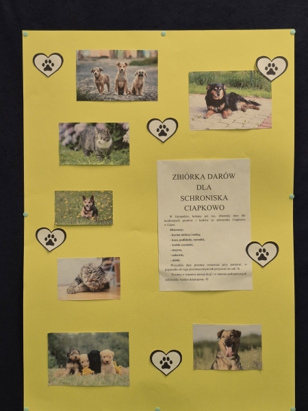 Zbiórka darów dla schroniska Ciapkowo